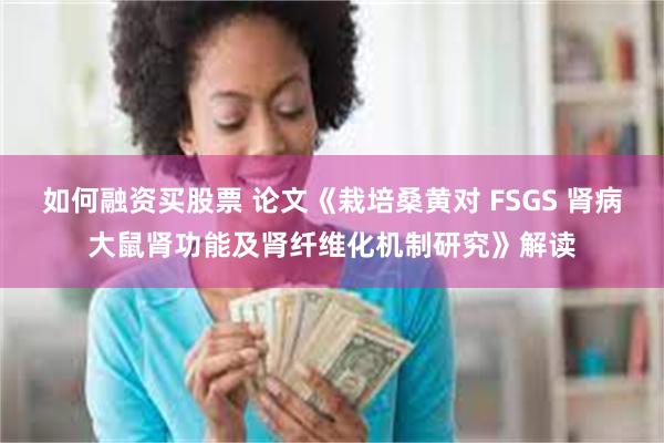 如何融资买股票 论文《栽培桑黄对 FSGS 肾病大鼠肾功能及肾纤维化机制研究》解读