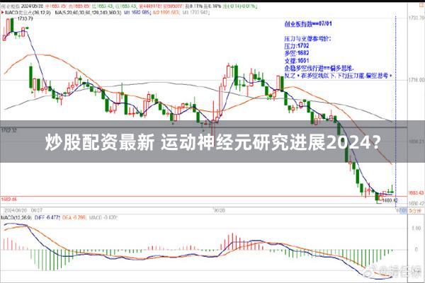 炒股配资最新 运动神经元研究进展2024？