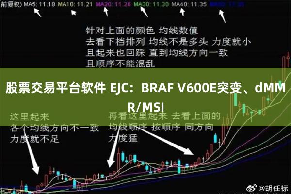 股票交易平台软件 EJC：BRAF V600E突变、dMMR/MSI