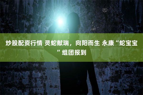 炒股配资行情 灵蛇献瑞，向阳而生 永康“蛇宝宝”组团报到