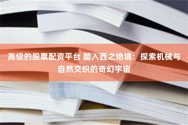 高级的股票配资平台 踏入西之绝境：探索机械与自然交织的奇幻宇宙