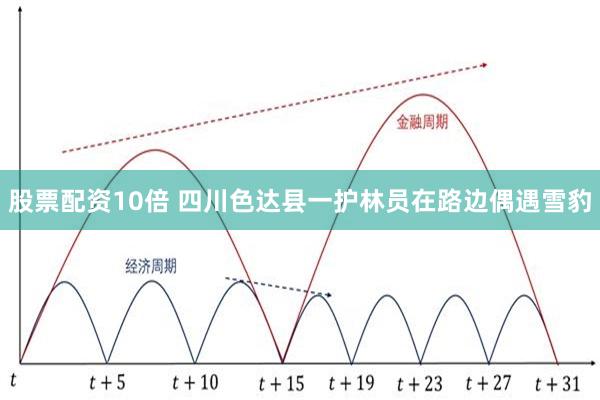 股票配资10倍 四川色达县一护林员在路边偶遇雪豹